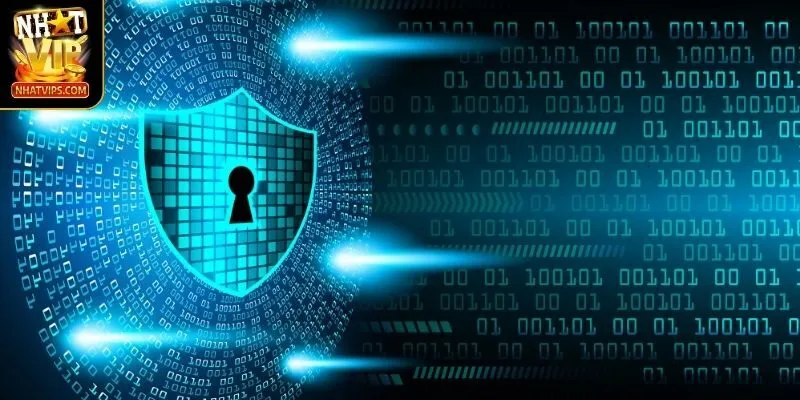 Thông tin chính sách bảo mật dữ liệu