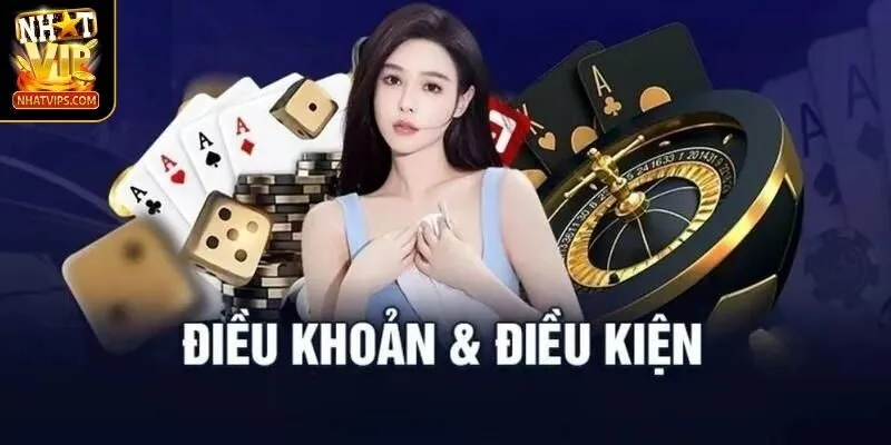 Nắm bắt những thông tin về điều khoản điều kiện